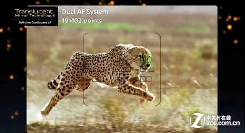 全球首款全画幅半透镜单电索尼A99评测