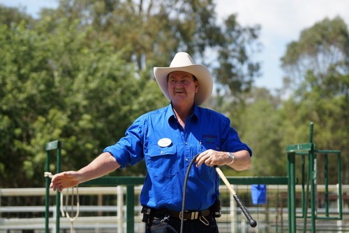 全球首款全画幅半透镜单电索尼A99评测