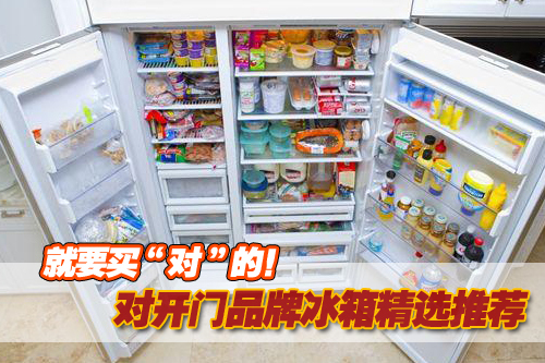 就要买对的!对开门品牌冰箱精选推荐