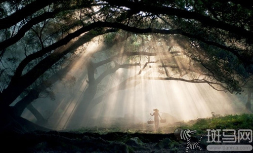 手机能拍出丁达尔光吗 127647559.jpg