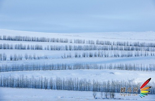 无畏严寒记录美景 冬季外出拍摄全攻略_冬季_14