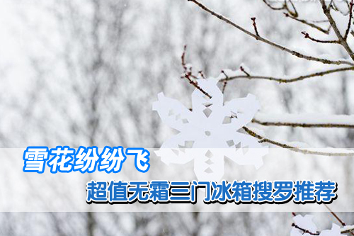 雪花纷纷飞 超值无霜三门冰箱搜罗推荐