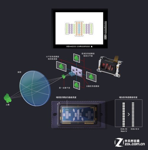 旗舰单反无冕之王 佳能EOS 1D X深度评测