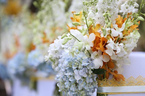 旗舰单反无冕之王 佳能EOS 1D X深度评测