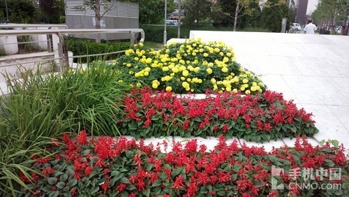 性能完秒卡片机顶级拍照强机大推荐