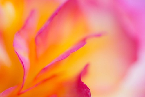 Ubuntu 13.04ϵͳȫĬϱֽ