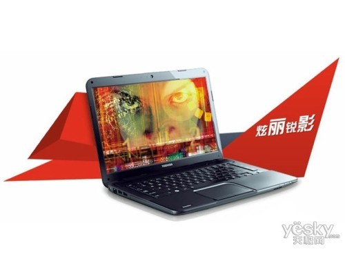 ��֥ C805D-T08B(������)