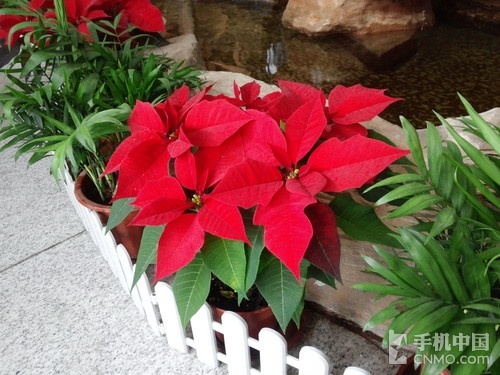 骁龙600四核强机 LG Optimus G Pro评测