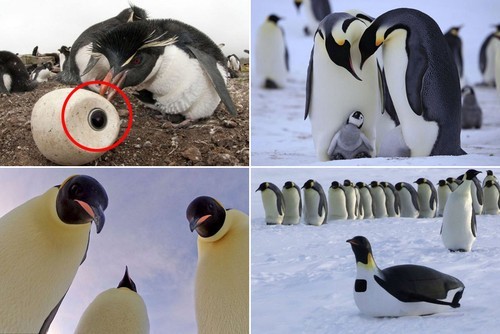 单反毁一生:野外摄影师的辛酸血泪史(4)