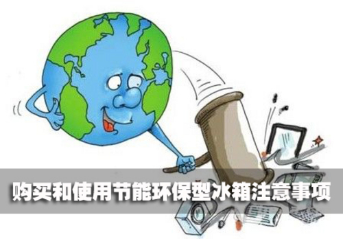购买和使用节能环保型冰箱注意事项