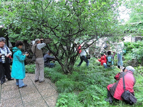 尼康游中国常熟虞山公园外拍站体验