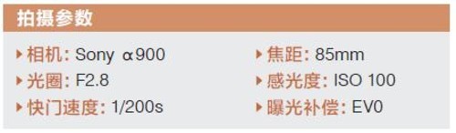 如何利用室内自然光进行摄影