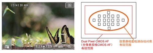 Camera冷知识 解析佳能革新CMOS AF技术_数