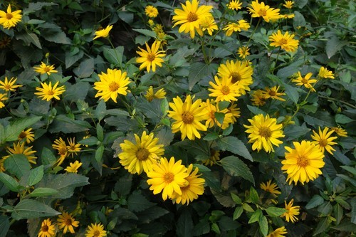 高感提升体验更佳索尼RX100II评测(9)