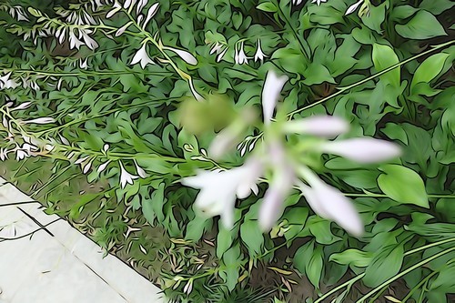 高感提升体验更佳索尼RX100II评测(11)