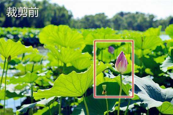 ��¼�����еĻ����ݲ��῵D3200����