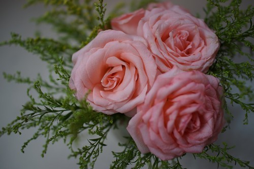 锐度更高细节更美 索尼黑卡RX1R评测