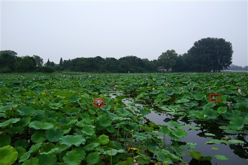 摄影师的随身利器索尼RX1R详细评测(5)