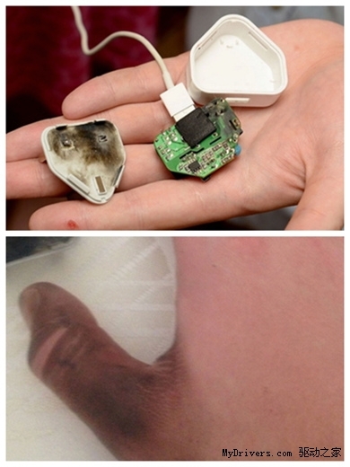 һը¼ iPadǹ