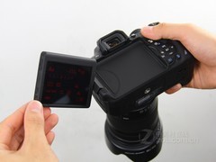 �����ŵ�ȫ�����������������۴����(8)