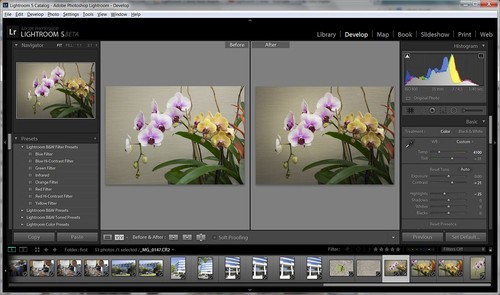 专业照片处理软件 Adobe Lightroom5试用|Ado