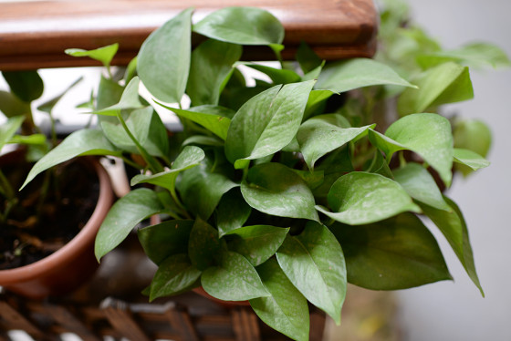 进击的全画幅尼康D610单反相机测试(5)