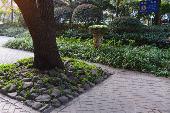 ������ȫ�����῵D610�����������(4)