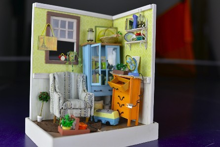 ������ȫ�����῵D610�����������(3)