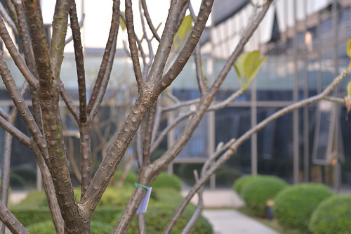 升级仅此而已?全画幅单反尼康D610评测 升级仅此而已?全画幅单反尼康D610评测