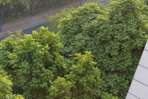 升级仅此而已?全画幅单反尼康D610评测 升级仅此而已?全画幅单反尼康D610评测