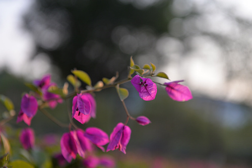 升级仅此而已?全画幅单反尼康D610评测 升级仅此而已?全画幅单反尼康D610评测
