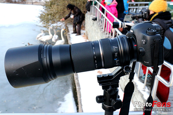 平价打鸟神器 腾龙150-600mm镜头评测(2)