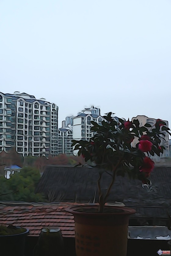 叫板无反最快对焦 索尼微单A6000评测