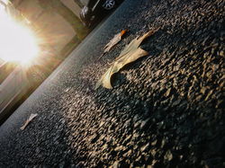 教你三招 用手机就能拍出好看的街头摄影