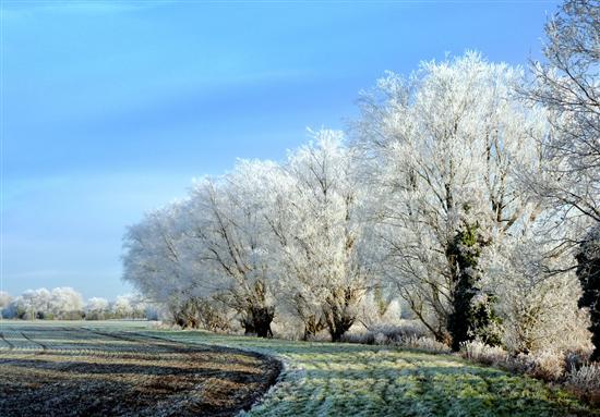 银装素裹的世界 冬日雪景摄影作品赏
