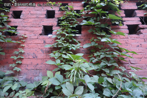 ���õ���ȡ��������ڿ�RX100III����(6)