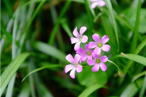 焕然一新 富士TCL-X100转换镜头体验(3)|配件