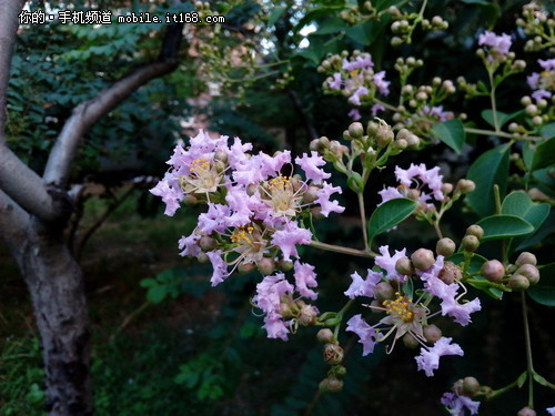 ����+ȫ���ܽ�