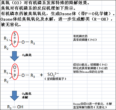 乐享新鲜美食 卡萨帝六门冰箱深度评测