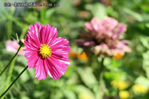 ����G7 Xʵ������