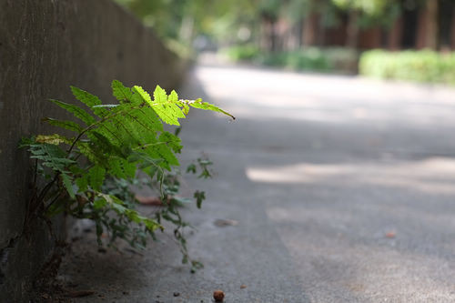 买新不买旧 细数更值得购买的旧款相机|尼康|佳