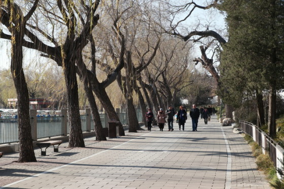 专业利器三星16-50mmf/2-2.8镜头评测(8)