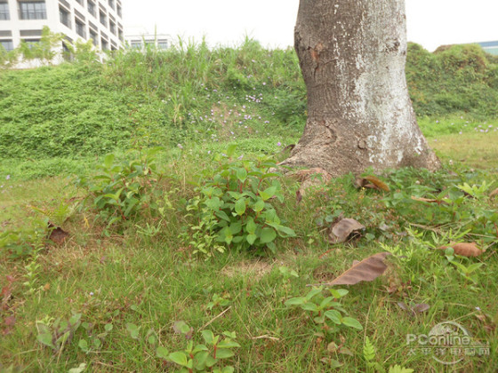 便携最紧要能装进口袋的旅行相机盘点(4)