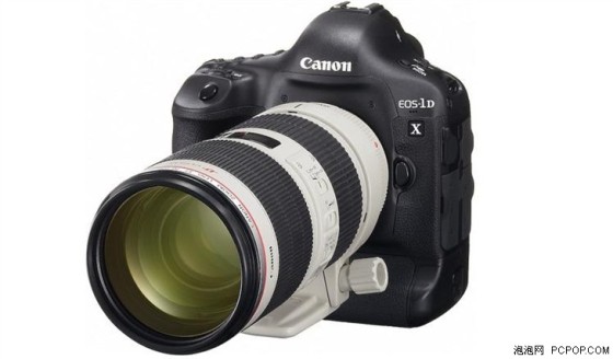 ����ȫ����רҵ��������1DX�ۼ�31999