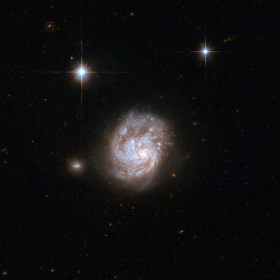 科技时代_59张相撞星系照片:NGC 695星系(图)