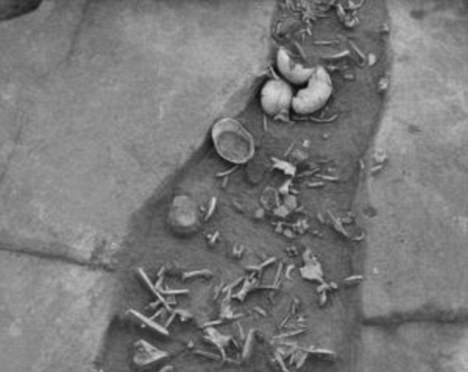 科技时代_德国发现7000年前大规模人吃人遗迹(组图)