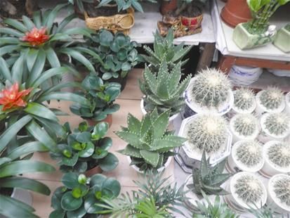 电脑宝贝防辐射其实只是噱头_科学探索