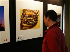 ����Ѳչ��4�֦���Ӱ����:����������