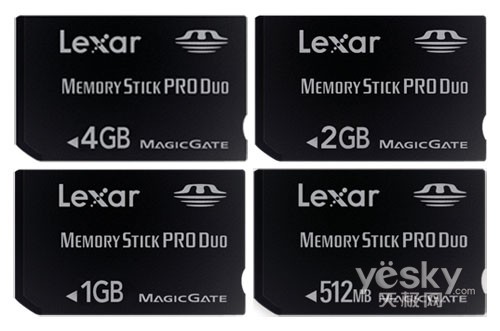 �����޼���LexarPlatIIMSDP�����