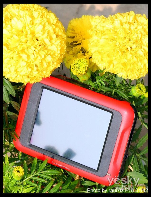 ԴԷʶGOGO2008ͼ